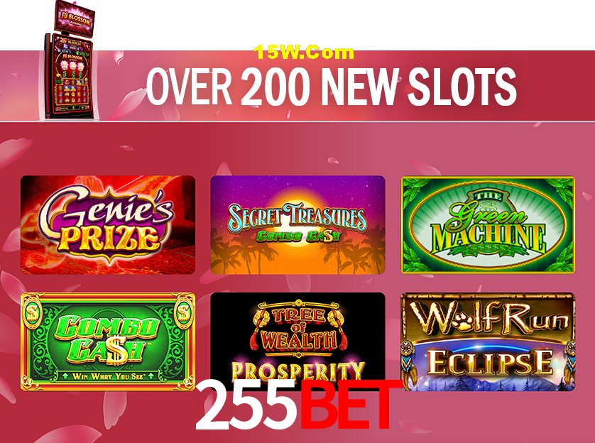 Experiência VIP 255Bet