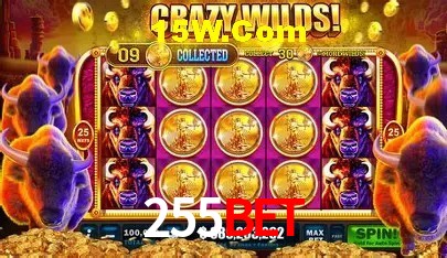 Promoções Sazonais 255Bet